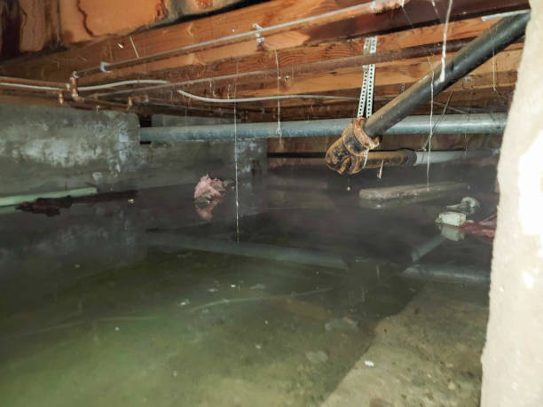  Amherst, TX Water damage restoration Pros