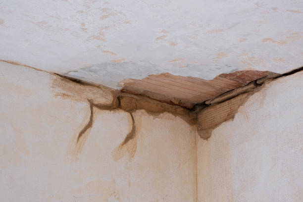 Best Flood damage cleanup  in Amherst, TX