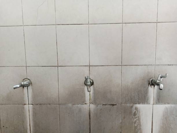 Best Ceiling water damage repair  in Amherst, TX